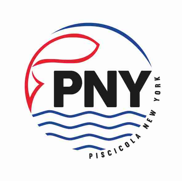 pny
