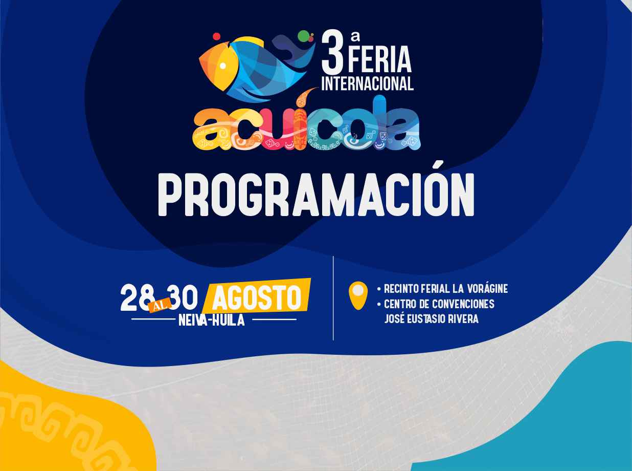 programacion afiche